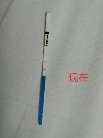 journal_insert_pic_992631030