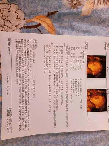 journal_insert_pic_993018220