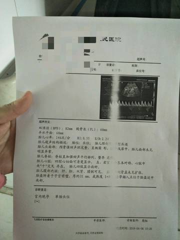 journal_insert_pic_993267584