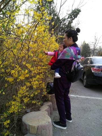journal_insert_pic_994210324