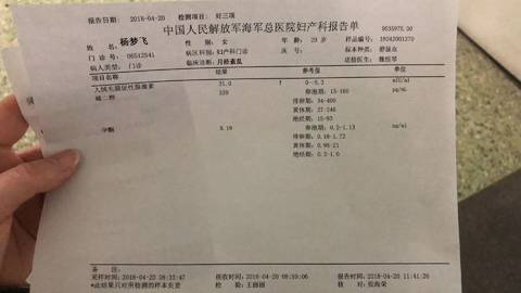 journal_insert_pic_994000411