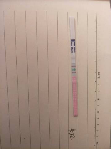 journal_insert_pic_993716890