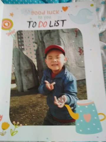 journal_insert_pic_994617326