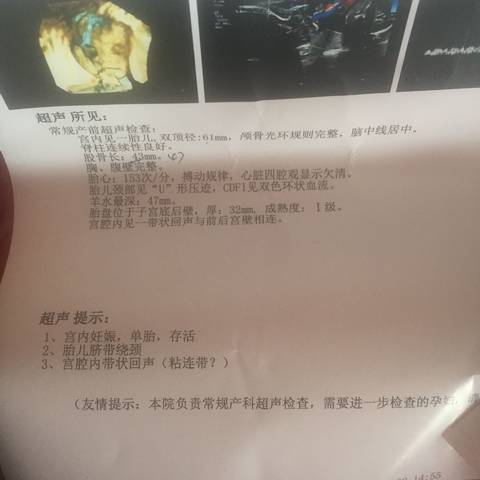 journal_insert_pic_994949835