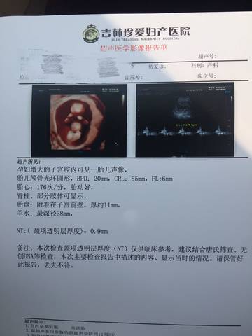 journal_insert_pic_996731303