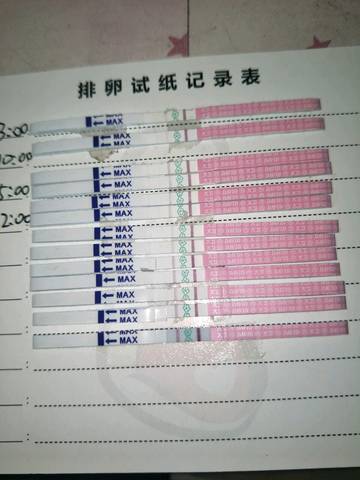 journal_insert_pic_996872798