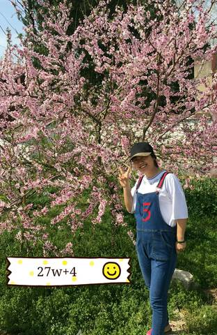 journal_insert_pic_997654784