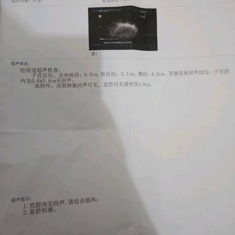 journal_insert_pic_998597597