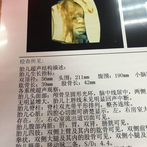 journal_insert_pic_998847885