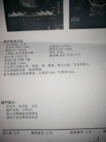 journal_insert_pic_998888934