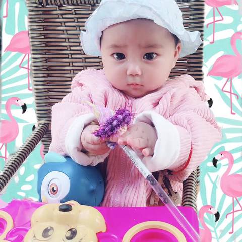 journal_insert_pic_998729224