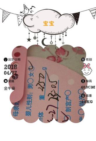 journal_insert_pic_999673283