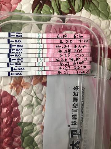 journal_insert_pic_999528399