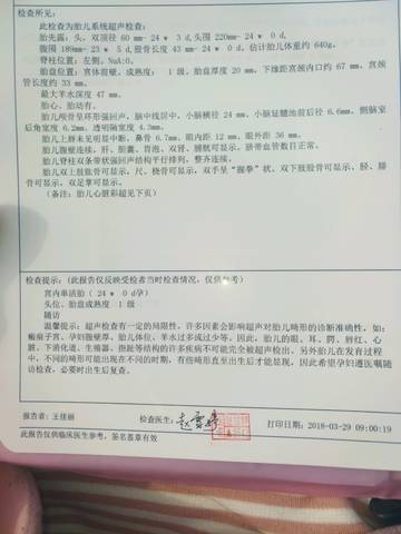 journal_insert_pic_1000285557