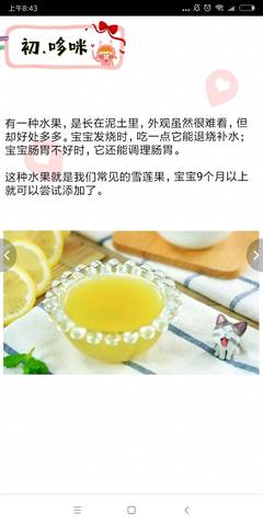 journal_insert_pic_1000653238