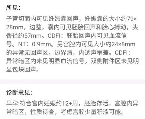 journal_insert_pic_1001052686