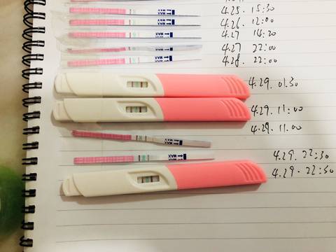 journal_insert_pic_1000618002