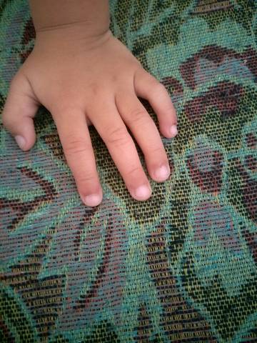 journal_insert_pic_1003551223