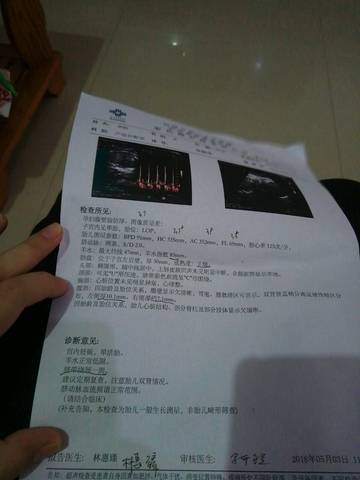 journal_insert_pic_1003405580