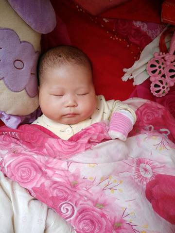 journal_insert_pic_1003189486