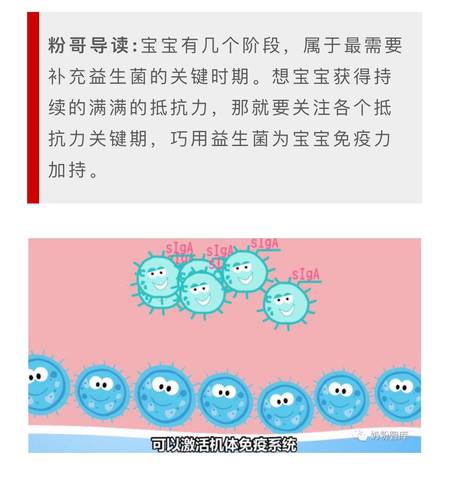 journal_insert_pic_1003404368