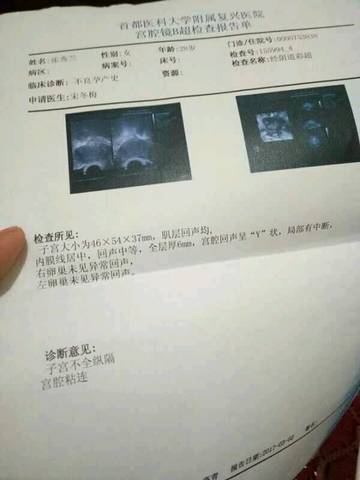 journal_insert_pic_1003530905