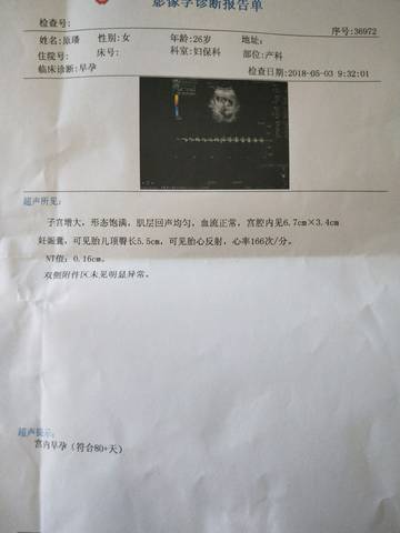 journal_insert_pic_1004259718