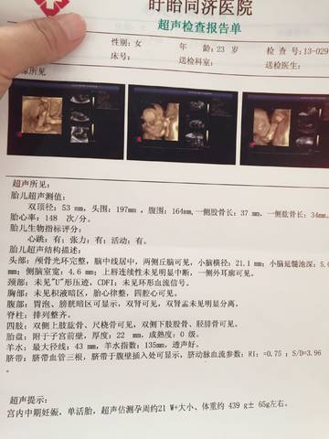journal_insert_pic_1004027583