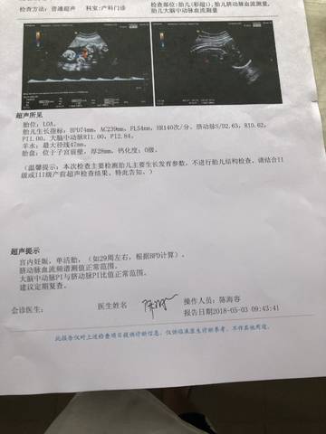 journal_insert_pic_1004133189