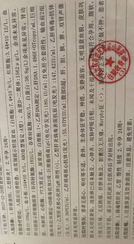 journal_insert_pic_1004958876