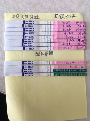 journal_insert_pic_1005557271