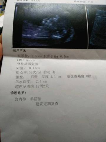 journal_insert_pic_1005912020