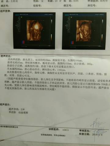 journal_insert_pic_1007204464