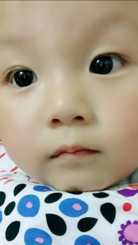 journal_insert_pic_1008995713