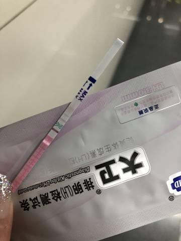 journal_insert_pic_1009555724