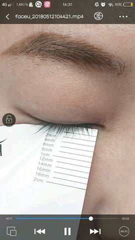 journal_insert_pic_1010003469