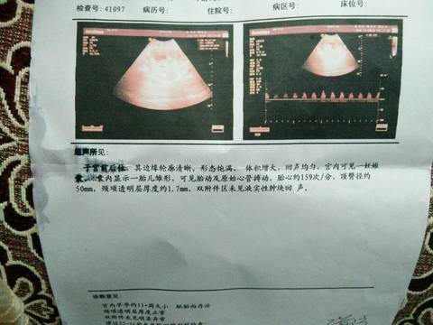 journal_insert_pic_1010112056
