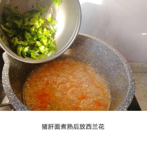 journal_insert_pic_1010174541