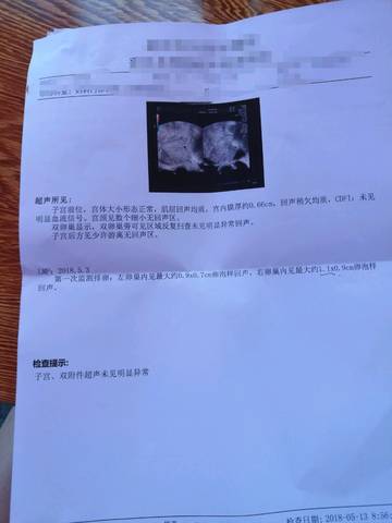 journal_insert_pic_1010867665
