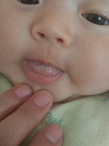 journal_insert_pic_1010796414
