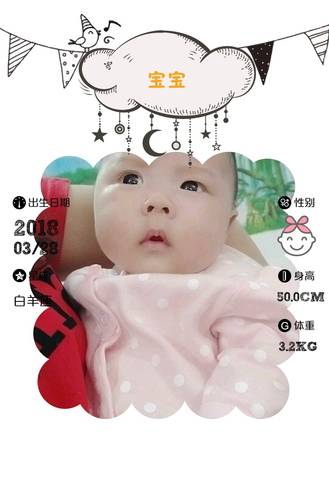 journal_insert_pic_1012633529