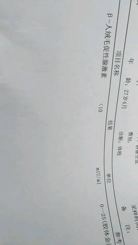 journal_insert_pic_1013048874