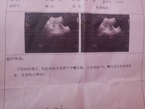 journal_insert_pic_1014331444