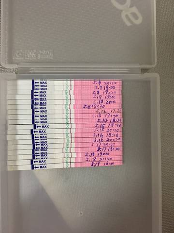 journal_insert_pic_1015069216