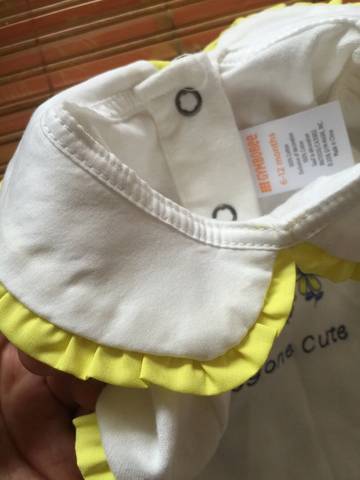 journal_insert_pic_1014916447