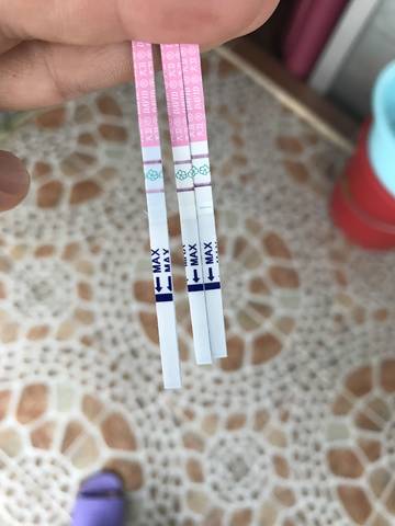 journal_insert_pic_1016242415