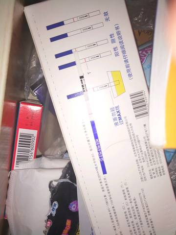 journal_insert_pic_1017276731