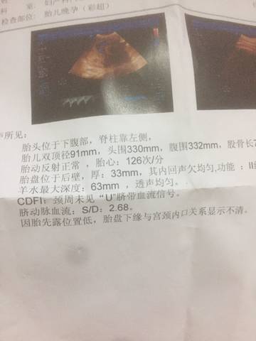 journal_insert_pic_1016745870