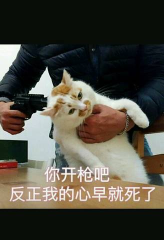 journal_insert_pic_1017418560