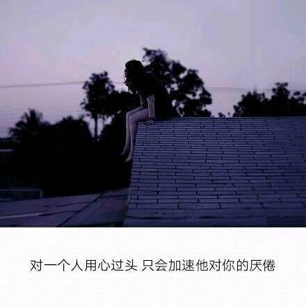 journal_insert_pic_1017908545